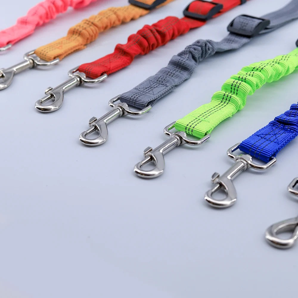 Ceinture de sécurité pour chien réglable robuste