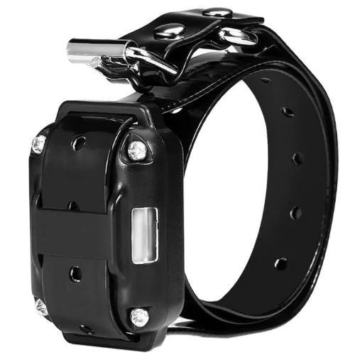 Collier anti-aboiement pour chien à télécommande créative