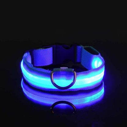 Light-Up Dog Collar and Leash