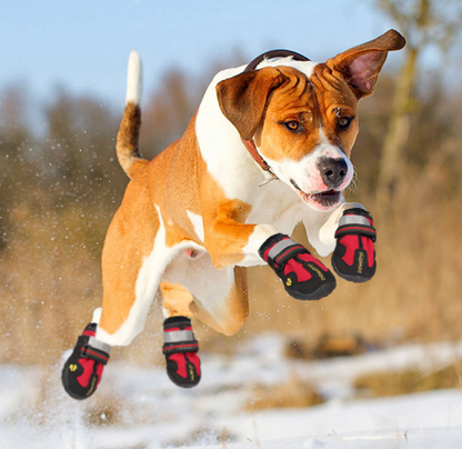 Bottes antidérapantes pour chien en caoutchouc