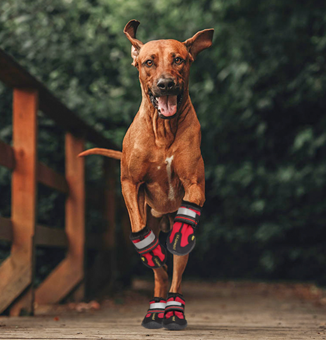 Bottes antidérapantes pour chien en caoutchouc
