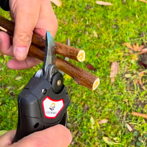 Sécateur électrique sans fil professionnel rechargeable