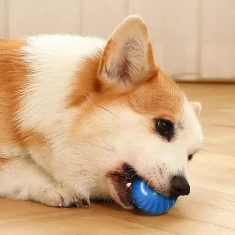 Balle interactive pour chien à mouvement automatique