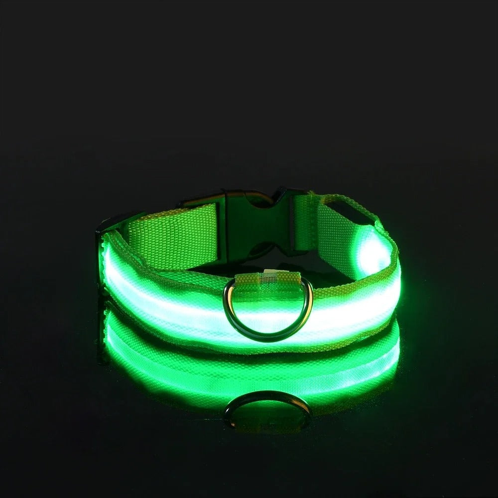 Light-Up Dog Collar and Leash