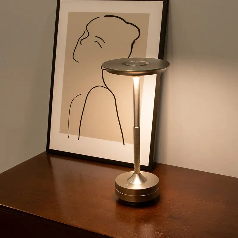 Portable LED Desk Lamp